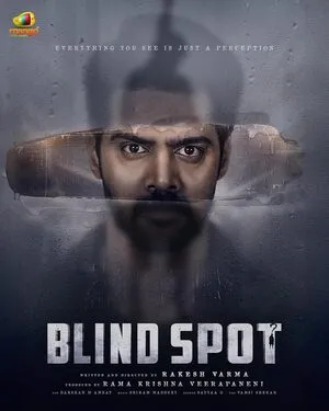 Blind Spot 2025 Hindi Dual Audio WEB-DL | Full Movie